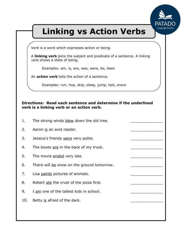 5 phút nắm vững cách sử dụng Linking verb Liên động từ Tiếng Anh trực tuyến Patado