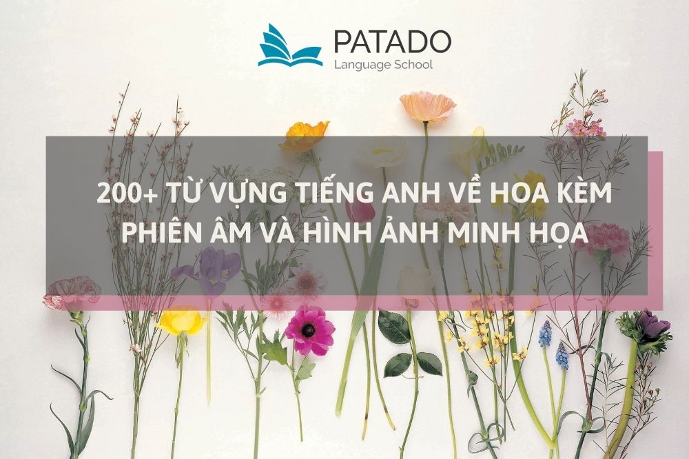 Bỏ túi ngay từ vựng tiếng Anh về hoa siêu hấp dẫn Tu-vung-tieng-anh-ve-hoa-patado-min