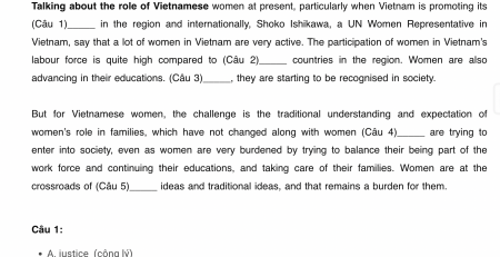 talking about the role of vietnamese